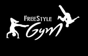 Séances d'essais Freestyle Gym