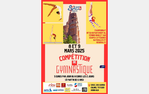 CR du Championnat InterDépartemental N/S par équipes - 8 et 9 Mars à Albi (81)