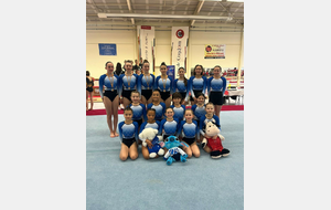 CR championnat interdépartemental équipe Fédérales a -14 &amp;15 mars à Condom (32)