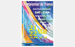 1/2 Finale Champ. France Gymnastique Artistique
