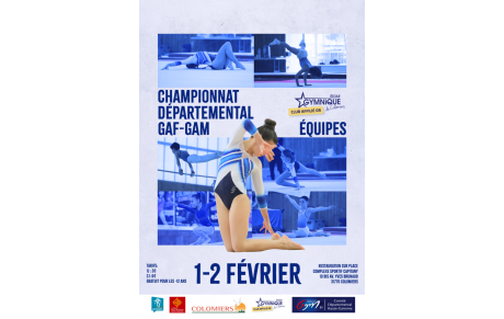 CR du Championnat Départemental par équipes - 1er et 2 Février à Colomiers (31)