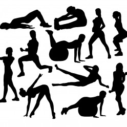 Planning Gym +